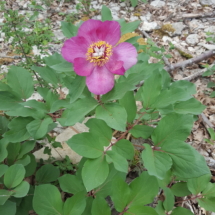 20200425_101044 20200425_101044